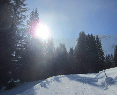 loipe_salwideli_6