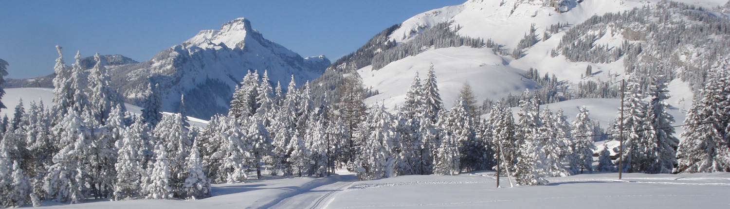 loipe_salwideli_slider_1
