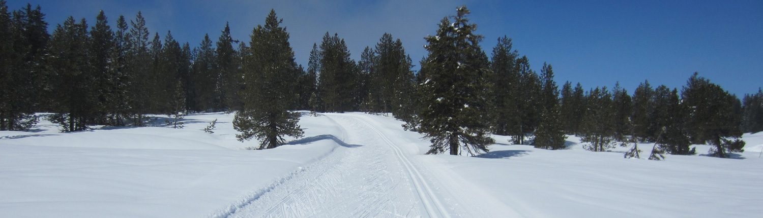 loipe_salwideli_slider_2