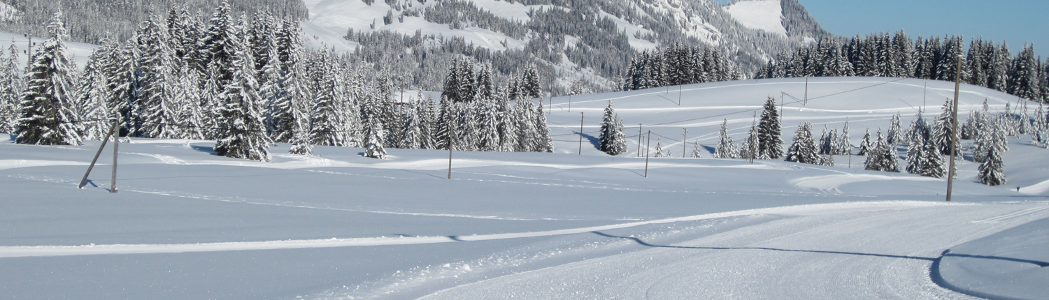 loipe_salwideli_slider_5